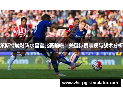 莱斯特城对阵水晶宫比赛前瞻：关键球员表现与战术分析