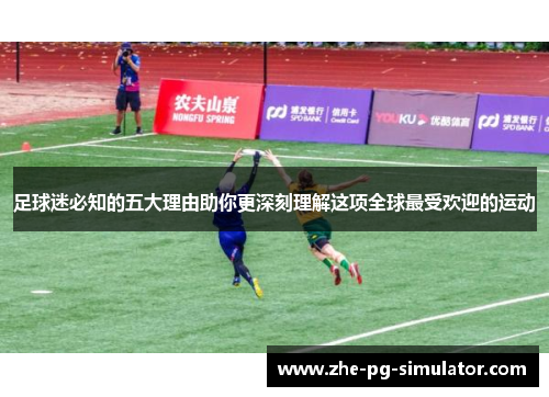足球迷必知的五大理由助你更深刻理解这项全球最受欢迎的运动