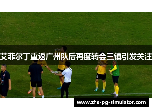 艾菲尔丁重返广州队后再度转会三镇引发关注 艾菲尔丁重返广州队后再度转会三镇引发关注