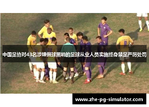 中国足协对43名涉嫌假球黑哨的足球从业人员实施终身禁足严厉处罚
