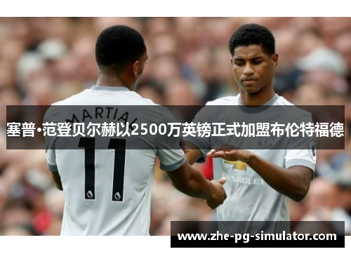 塞普·范登贝尔赫以2500万英镑正式加盟布伦特福德